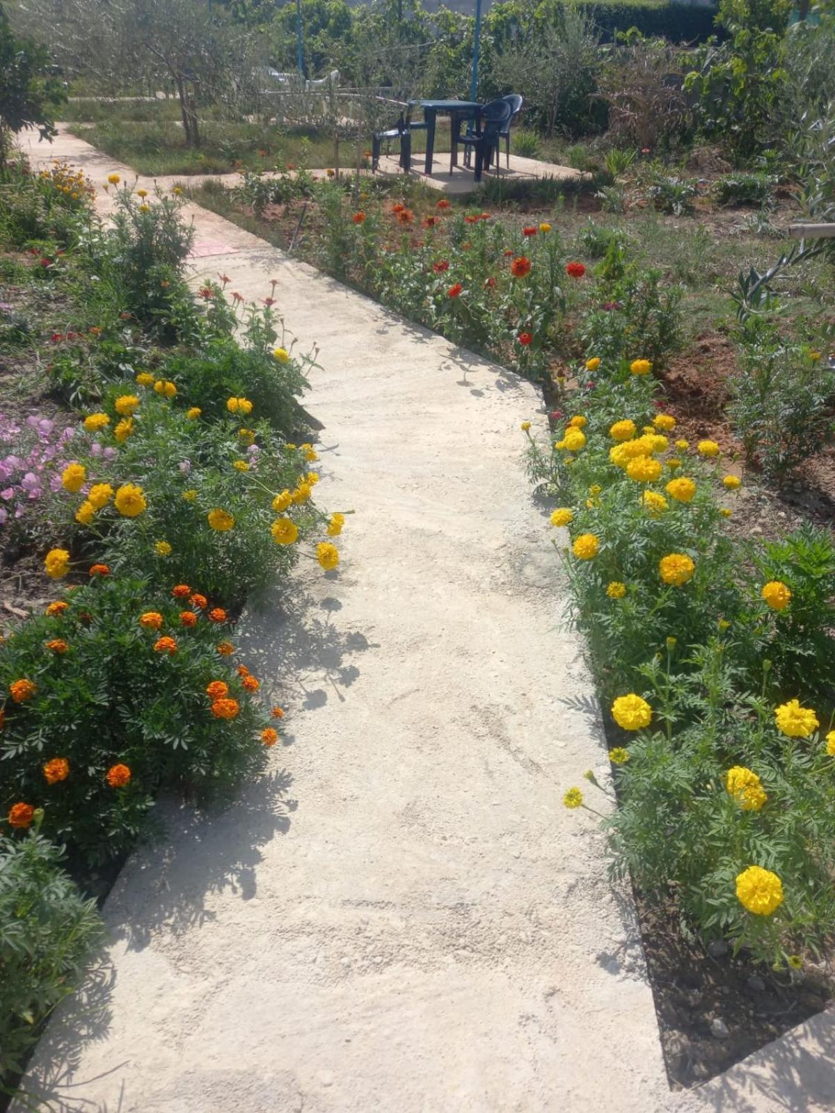 Rey Garden 2 Otel Avlonya Dış mekan fotoğraf